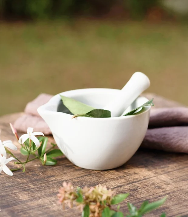 Calming & Wellness Herbs