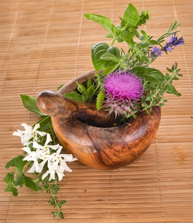 Healing Herbs for Body Care