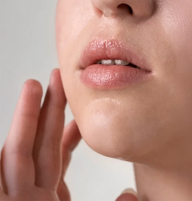 Lip Balms & Moisturizers